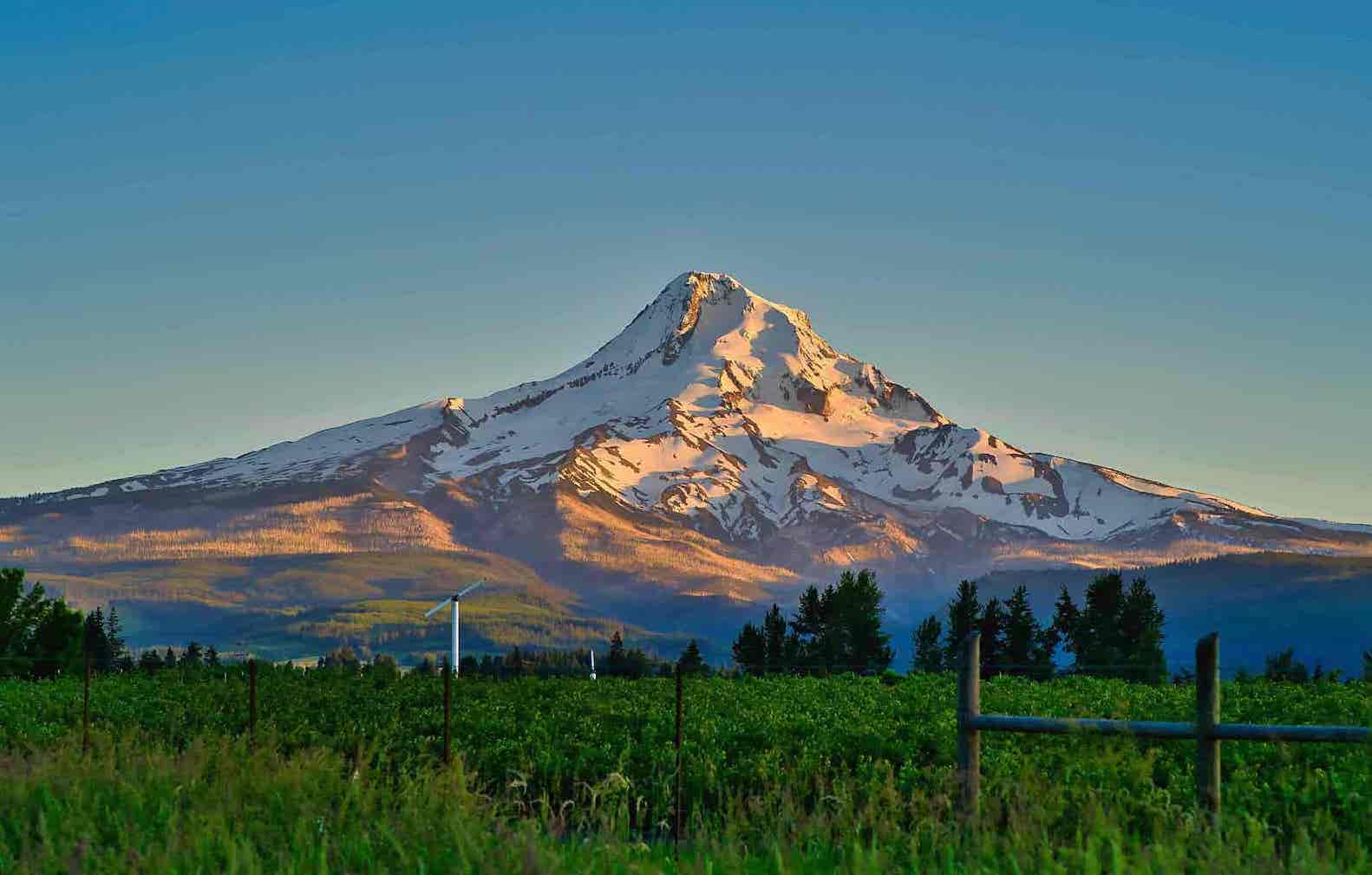 Mt. Hood Afternoon