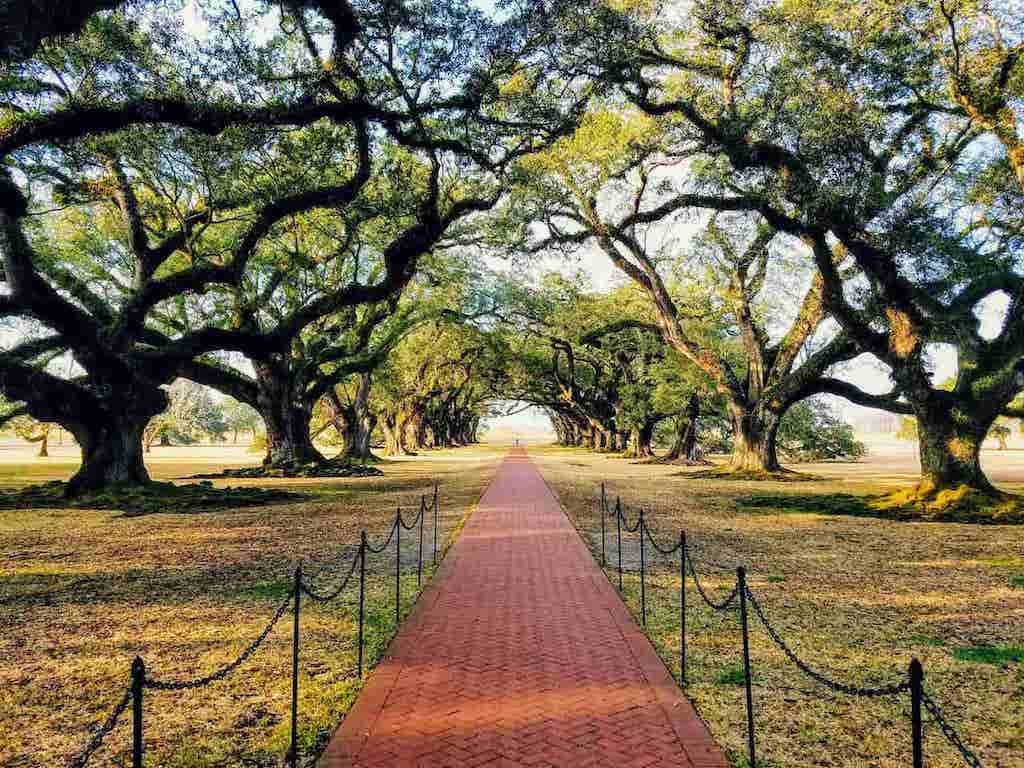 Oak Alley Plantation